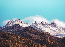 英超-库尼亚破门舍什科失良机 曼联1-1利兹联